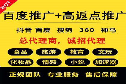 百度品牌专区推广的成效与案例